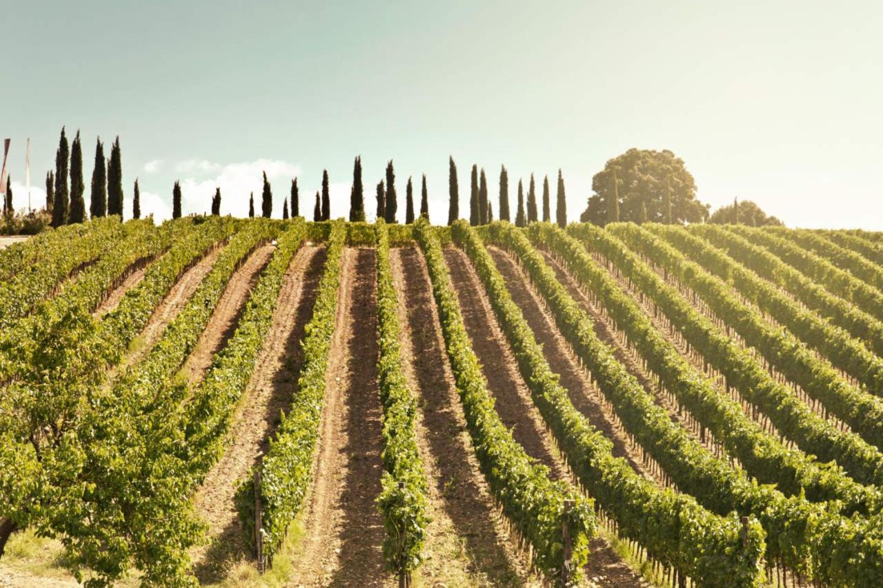 Corte Francigena Montalcino Bagian luar foto